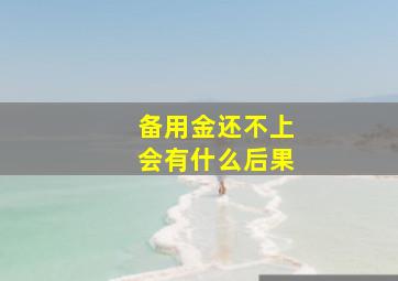 备用金还不上会有什么后果