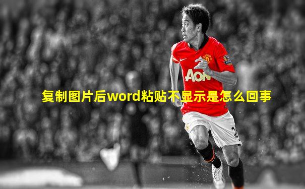 复制图片后word粘贴不显示是怎么回事