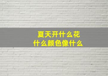 夏天开什么花什么颜色像什么