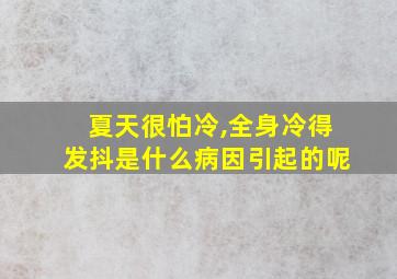 夏天很怕冷,全身冷得发抖是什么病因引起的呢