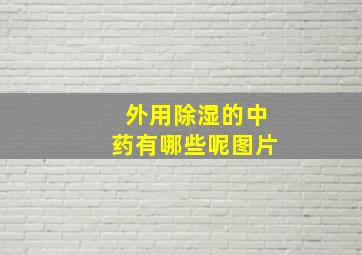 外用除湿的中药有哪些呢图片