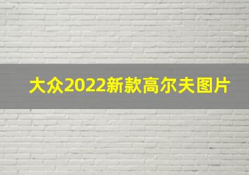 大众2022新款高尔夫图片