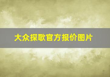 大众探歌官方报价图片