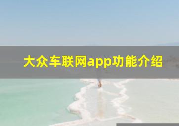 大众车联网app功能介绍