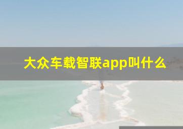 大众车载智联app叫什么