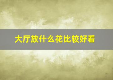 大厅放什么花比较好看