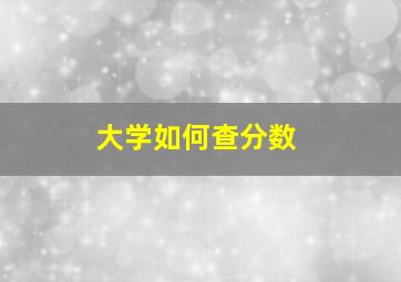 大学如何查分数