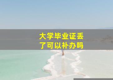 大学毕业证丢了可以补办吗