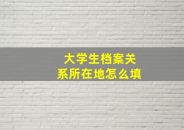 大学生档案关系所在地怎么填