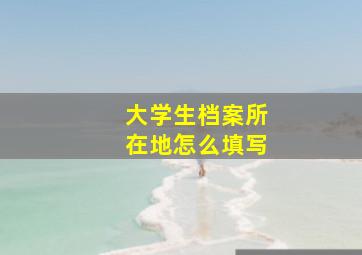 大学生档案所在地怎么填写