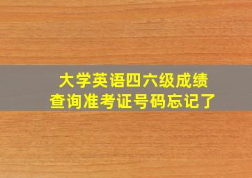 大学英语四六级成绩查询准考证号码忘记了