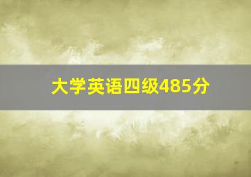 大学英语四级485分