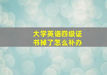 大学英语四级证书掉了怎么补办