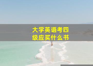 大学英语考四级应买什么书