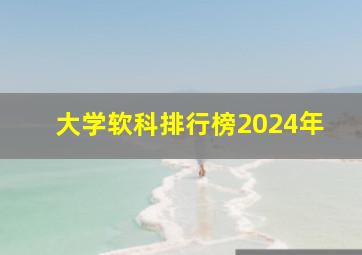 大学软科排行榜2024年