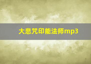 大悲咒印能法师mp3