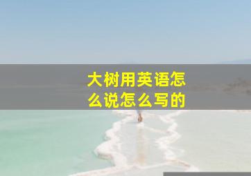 大树用英语怎么说怎么写的