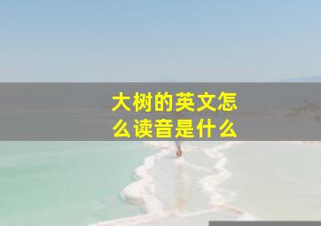 大树的英文怎么读音是什么