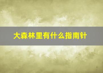 大森林里有什么指南针