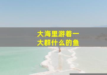 大海里游着一大群什么的鱼