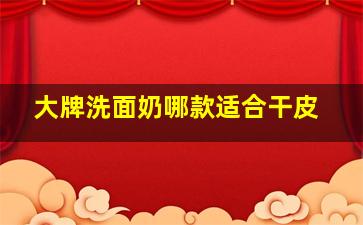 大牌洗面奶哪款适合干皮