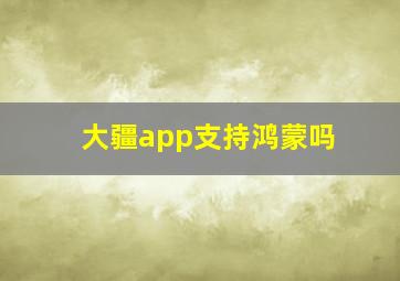 大疆app支持鸿蒙吗