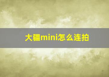 大疆mini怎么连拍