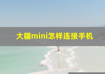 大疆mini怎样连接手机