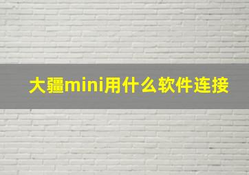 大疆mini用什么软件连接