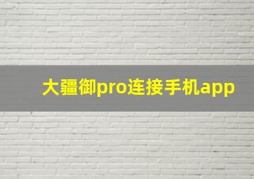 大疆御pro连接手机app