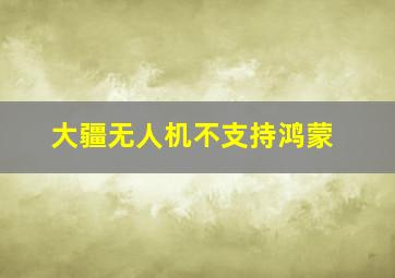 大疆无人机不支持鸿蒙