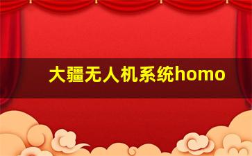 大疆无人机系统homo