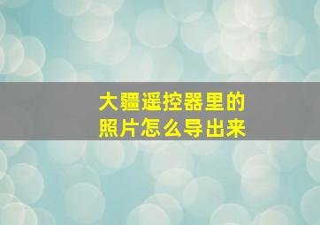 大疆遥控器里的照片怎么导出来