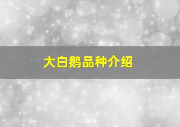 大白鹅品种介绍