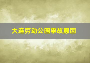 大连劳动公园事故原因