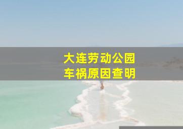 大连劳动公园车祸原因查明