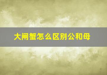 大闸蟹怎么区别公和母