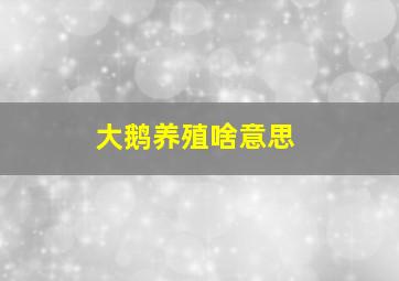 大鹅养殖啥意思