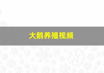 大鹅养殖视频