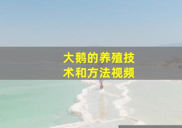 大鹅的养殖技术和方法视频