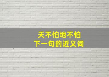 天不怕地不怕下一句的近义词