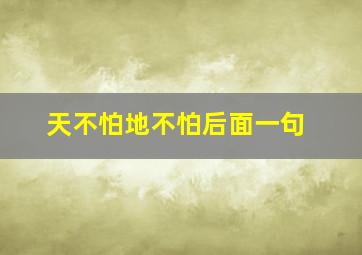 天不怕地不怕后面一句