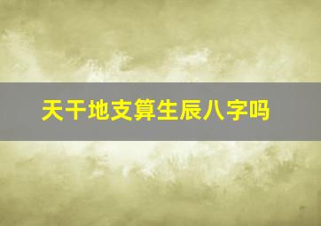 天干地支算生辰八字吗