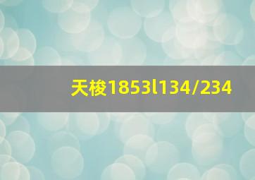 天梭1853l134/234