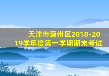 天津市蓟州区2018-2019学年度第一学期期末考试