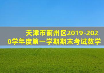 天津市蓟州区2019-2020学年度第一学期期末考试数学