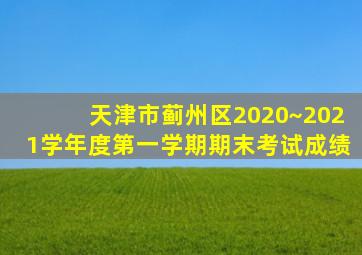 天津市蓟州区2020~2021学年度第一学期期末考试成绩