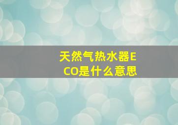 天然气热水器ECO是什么意思