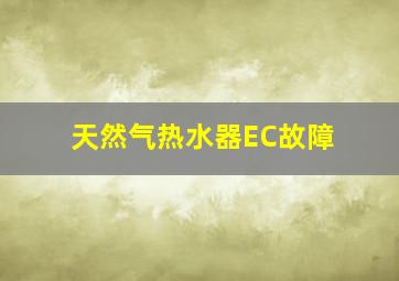 天然气热水器EC故障