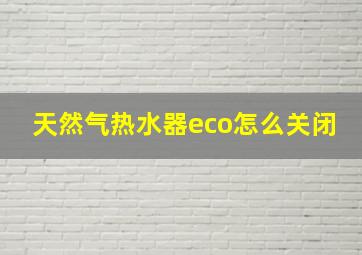 天然气热水器eco怎么关闭